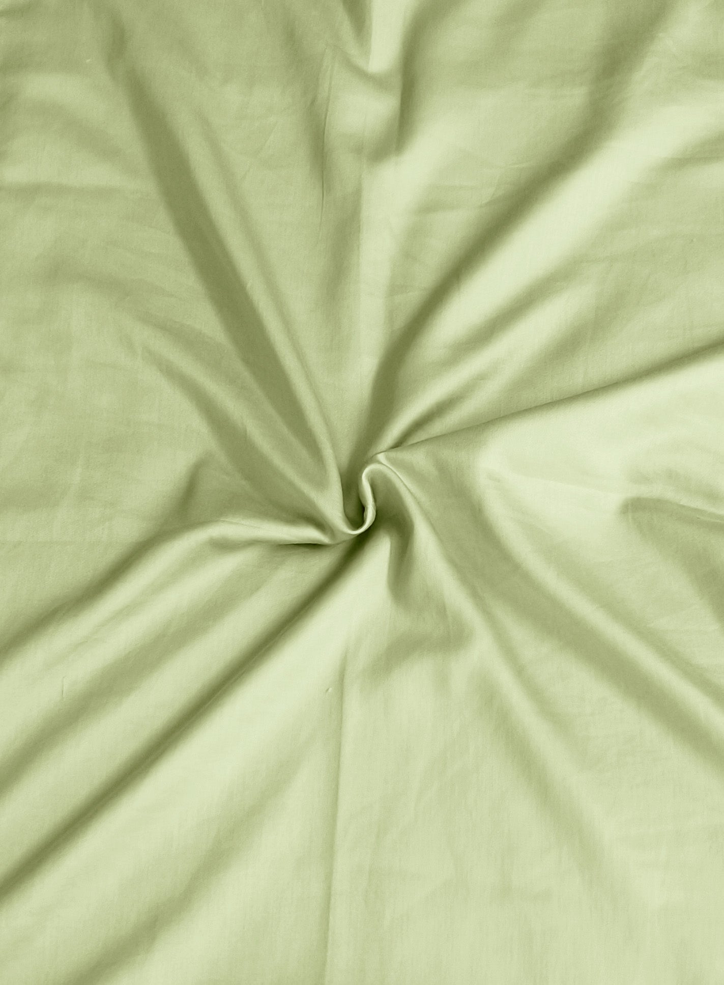 Cotton 300TC Solid Bedsheet (Moss Green)