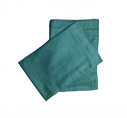 Premium Cotton Pillow Covers (Teal Blue)